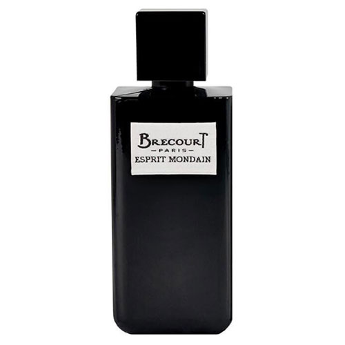عطر ادکلن برکورت اسپیریت ماندین | Brecourt Esprit Mondain